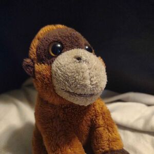 Abu Official Portrait 2025 Square.jpg