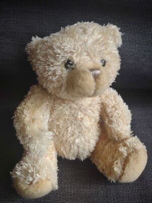 Beerdmans Official Portrait 2025.jpg